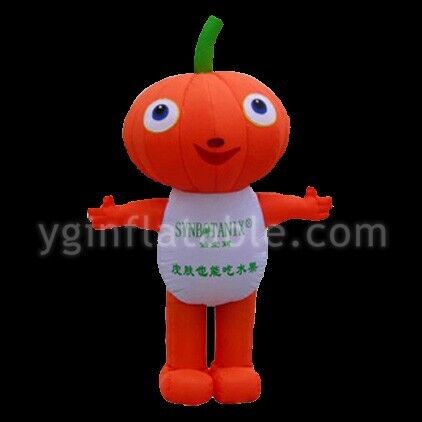 inflatable lake toysGC044